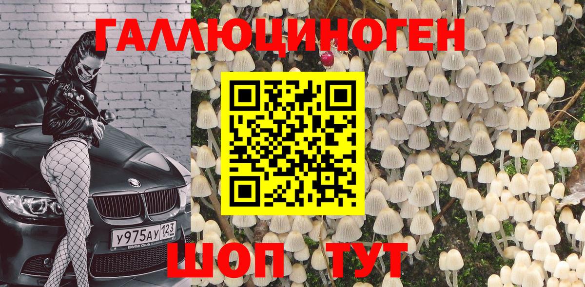 Псилоцибиновые грибы Psilocybe  купить   Южно-Сахалинск  Вход с VPN 