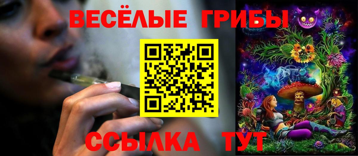 Псилоцибиновые грибы Psilocybe Южно-Сахалинск